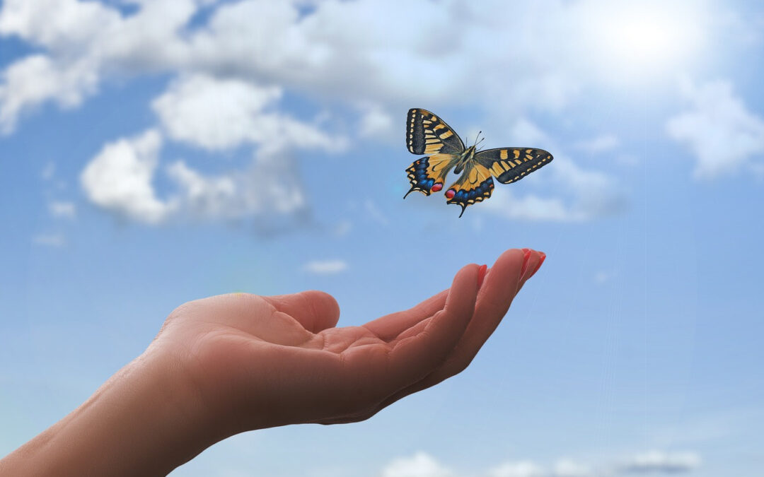 Ein Schmetterling fliegt von einer Hand in den leicht mit Wolken beflockten Himmel