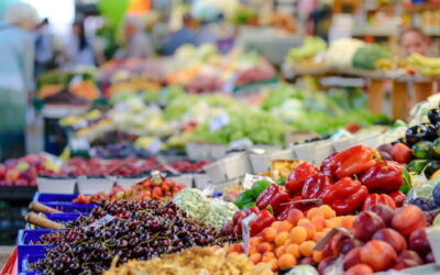 Optimale Ernährung zur Wundheilung: Vitamine, Nährstoffe und Spurenelemente im Fokus