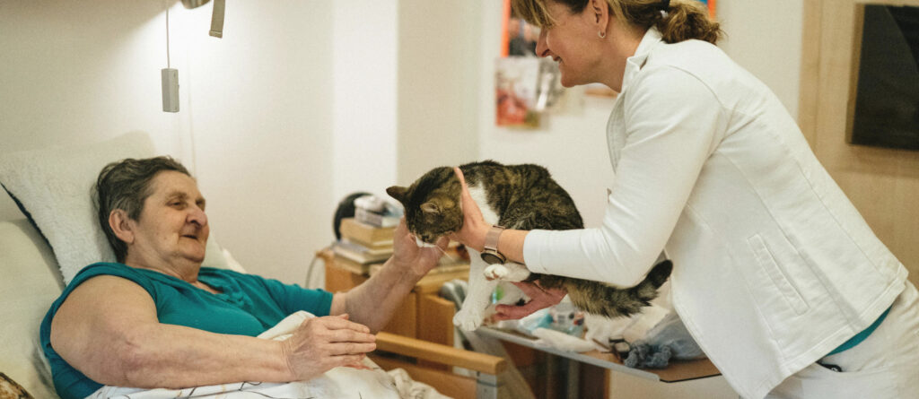 Einer bettlägerigen Frau wird von der Pflegekraft eine Katze gereicht.
