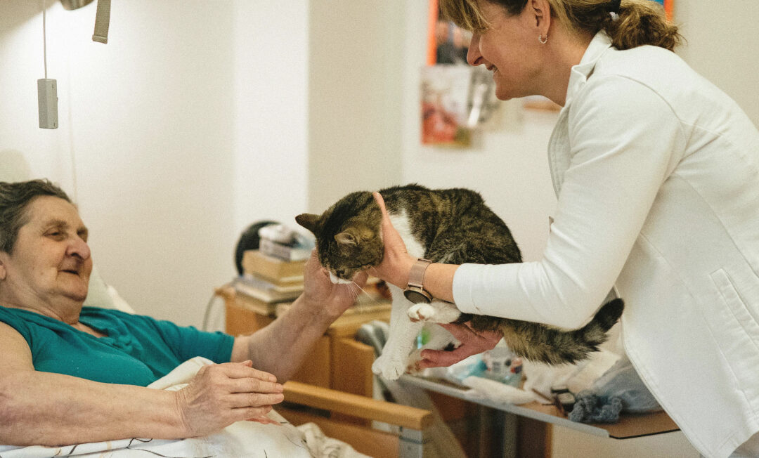 Einer bettlägerigen Frau wird von der Pflegekraft eine Katze gereicht.